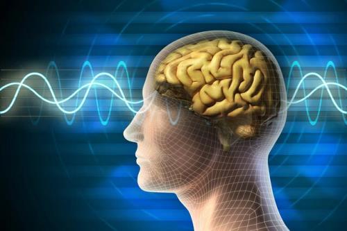 دستیابی به محصولات فناورانه حوزه شناختی با اجرای ده ها طرح پژوهشی در مراکز علمی کشور