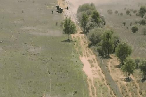 نخستین پهپاد چوپان جهان