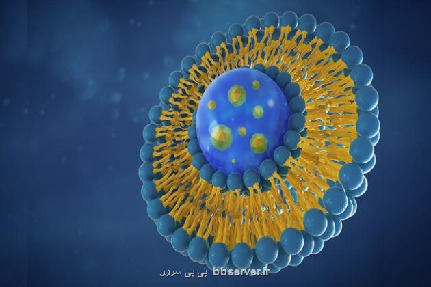 همکاری پنج شرکت برای تسریع در پیشرفت داروهای مبتنی بر نانوذرات لیپیدی