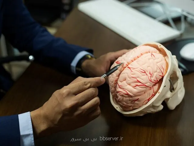 گام تازه فناورانه ایران در درمان پارکینسون ورود به فاز انسانی تا 1406